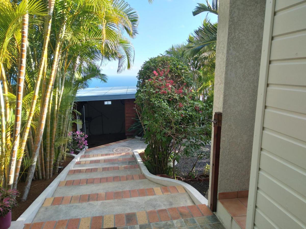 Studio Aux Avirons Pour 2 Personnes, Avec Piscine Les Avirons Exterior foto